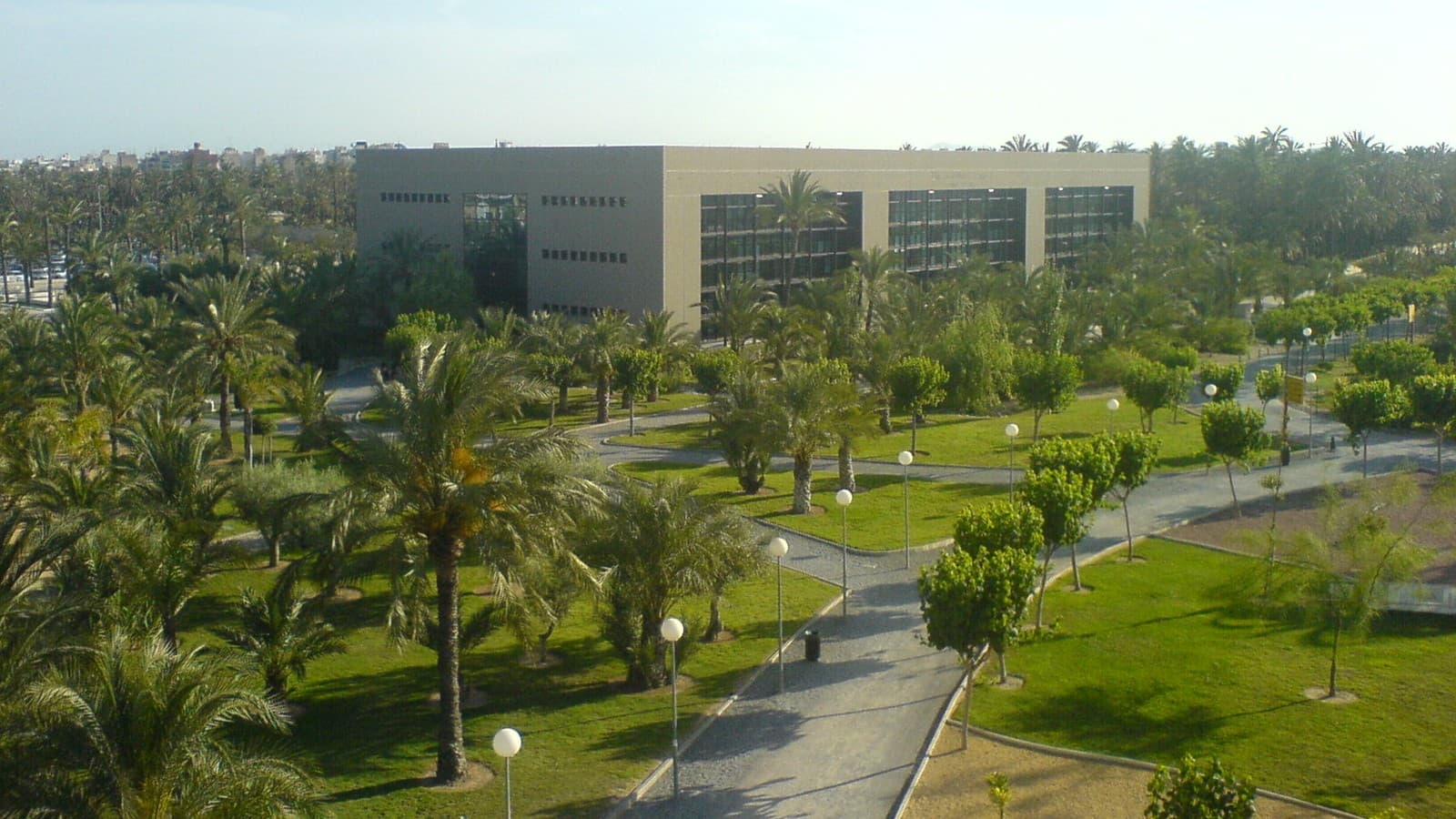Universidad Miguel Hernández